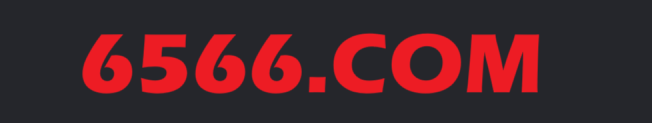 6566-Logo